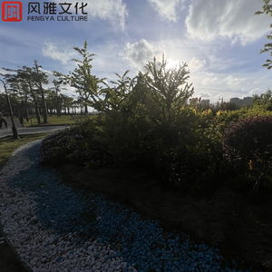 苍井空被叉动态图
